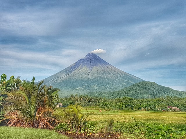 mayon